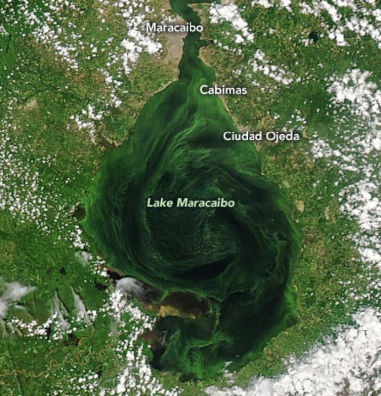 Nasa reveló imágenes del Lago de Maracaibo y su contaminación