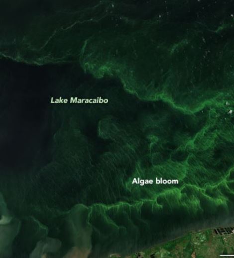 Nasa reveló imágenes del Lago de Maracaibo - Nasa reveló imágenes del Lago de Maracaibo
