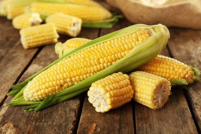 ¿Pueden comer maíz las personas con diabetes?