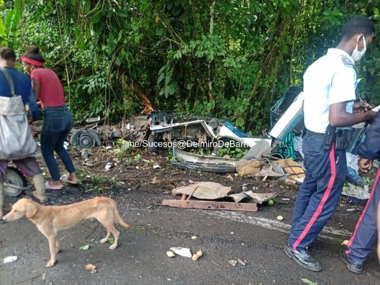 Dos funciarios del Sebin fallecieron en accidente de tránsito en el municipio Acevedo