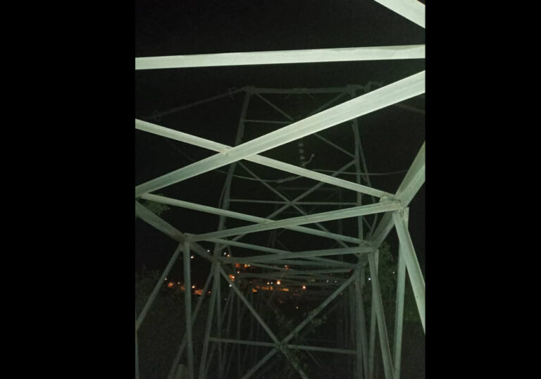 Reverol denunció acto vandálico en torre de la línea 115kv en Nueva Esparta