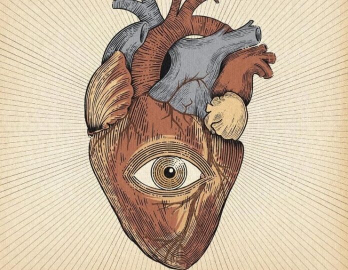 El corazón - El corazón