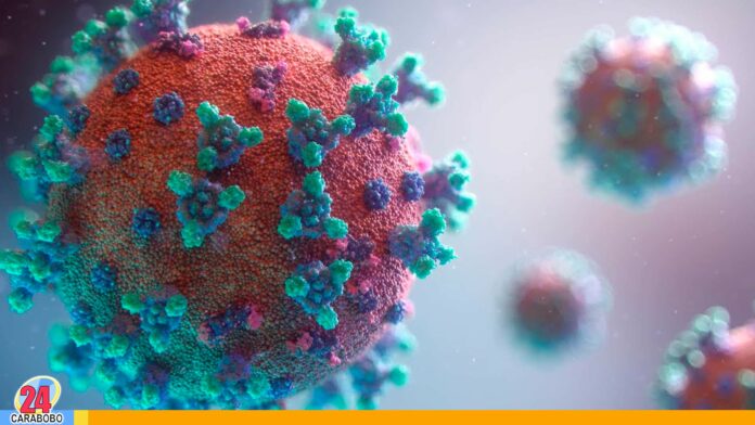 Código genético del coronavirus - Noticias 24 Carabobo