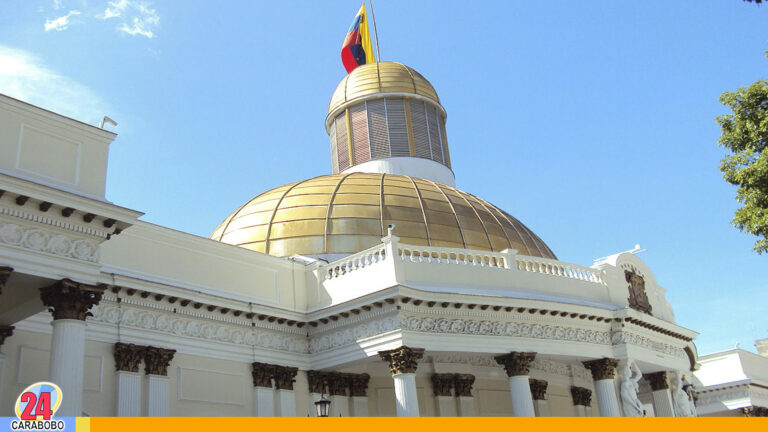 Asamblea Nacional sancionó casi 40 leyes en el año 2021