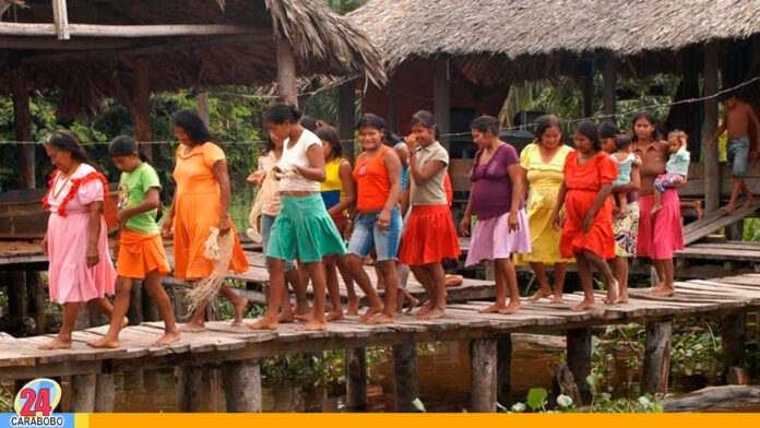 Migración de indígenas Warao - Noticias 24 Carabobo