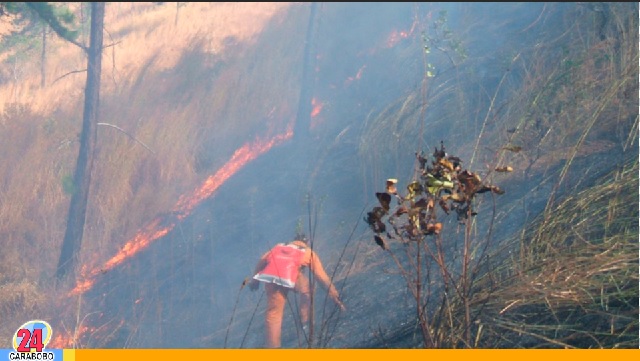 Incendios forestales azotan de nuevo a Venezuela
