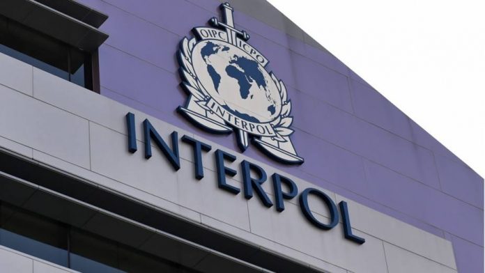 Detuvieron a 16 miembros del Tren de Aragua en operativo del Interpol