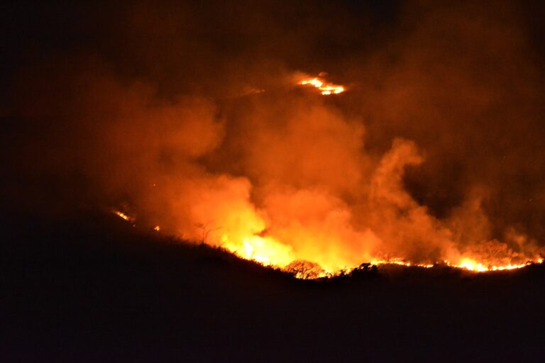 Incendio en el cerro El Café alertó a habitantes de Naguanagua (FOTOS)