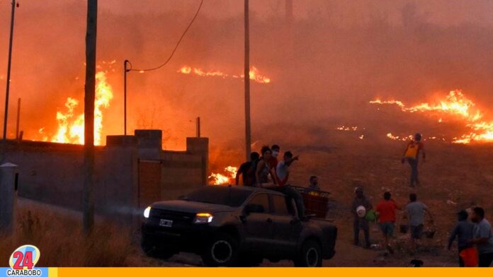 Incendios en Argentina - Noticias 24 Carabobo