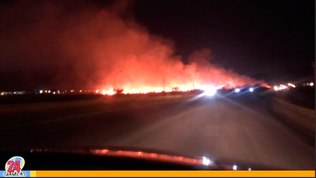 Incendio forestal en San Diego afectó a Tulipán y zonas vecinas