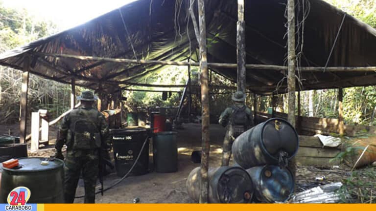 Destruyen campamento ilícito para producción de drogas en el Zulia