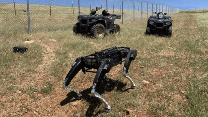 Perros Robots