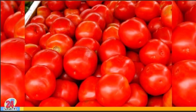 Zafra del tomate - Zafra del tomate