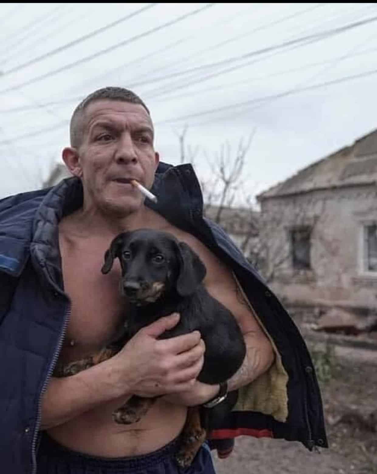 Las mascotas en Ucrania - Las mascotas en Ucrania