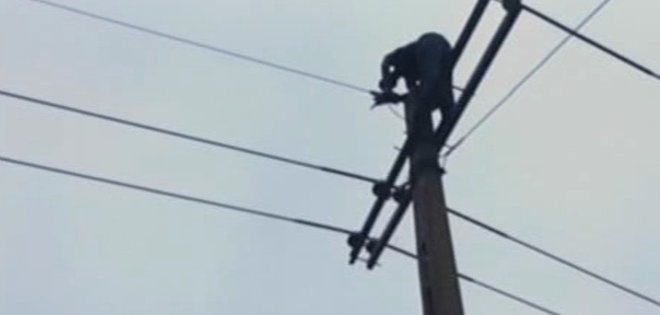venezolano subió poste eléctrico