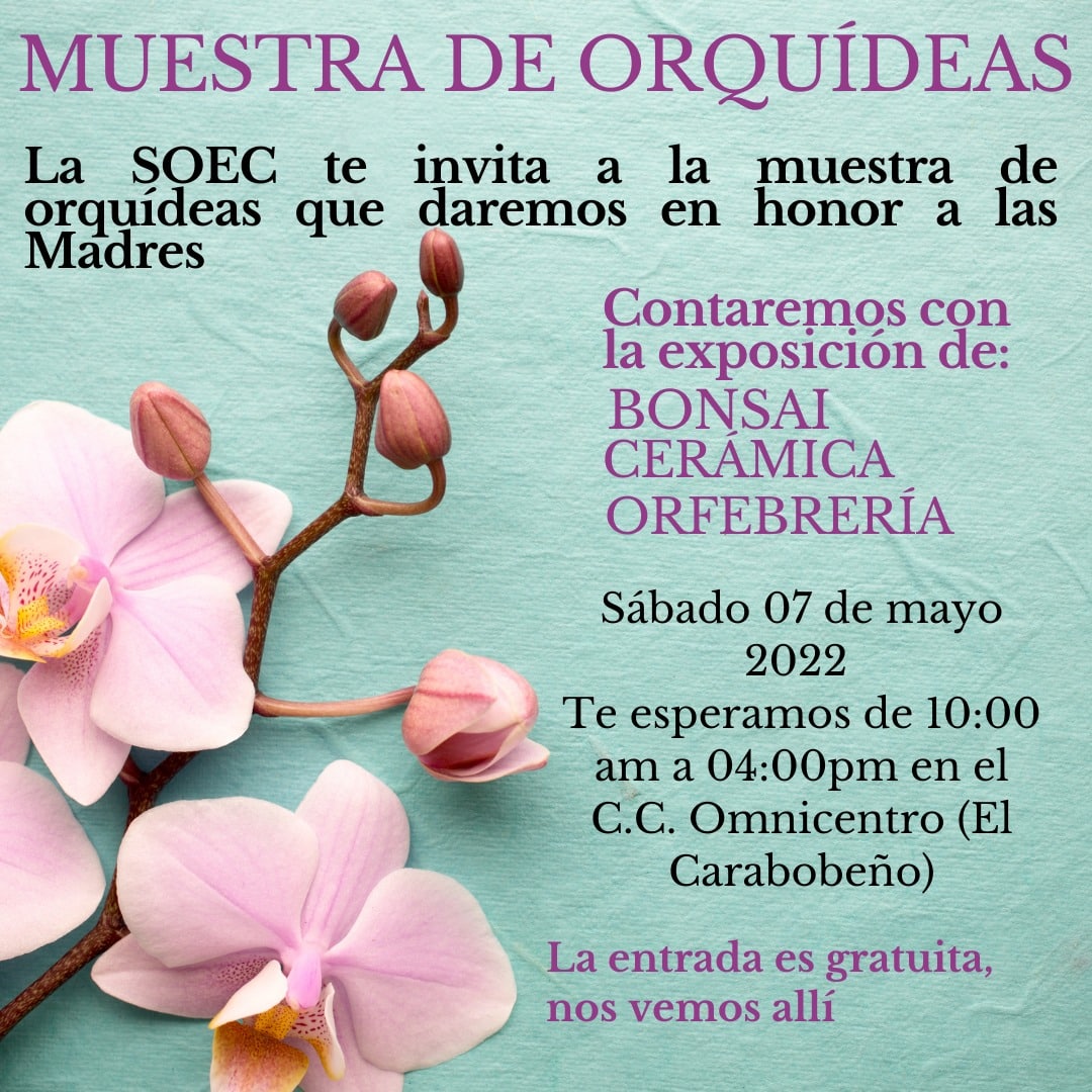 Exposición de Orquídeas en Naguanagua - Exposición de Orquídeas en Naguanagua