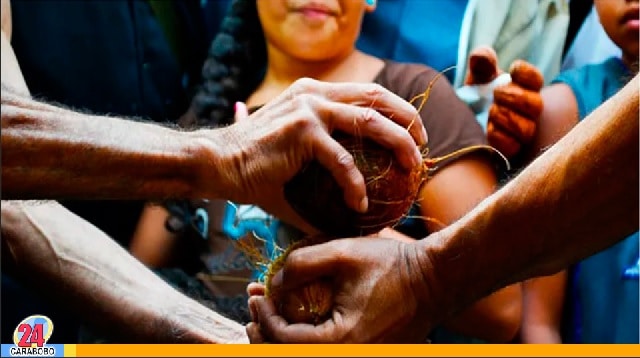 La tradición de echar cocos en la Semana Mayor (VÍDEO)