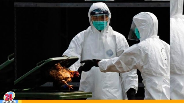 ¡Alerta en China! Reportan primer caso de Gripe Aviar H3N8
