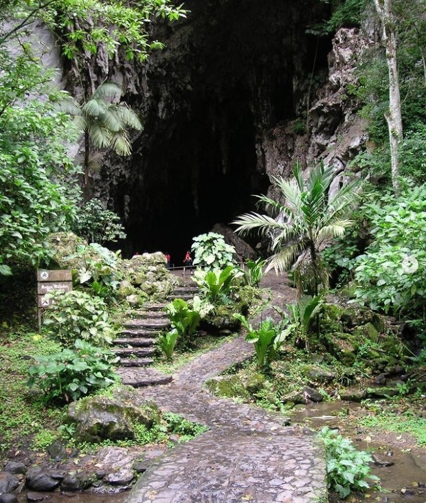 La Cueva del Guácharo - La Cueva del Guácharo