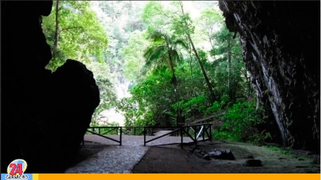 La Cueva del Guácharo, conoce más de este lugar en Monagas
