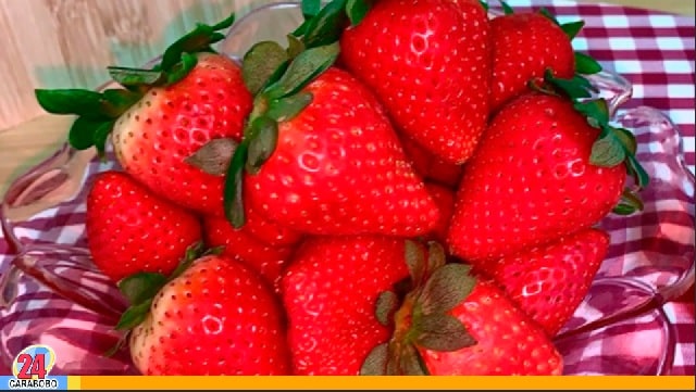 Beneficios de las fresas, conoce esta fruta a fondo