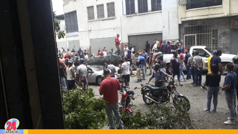 Árbol de gran tamaño cayó sobre varios vehículos en Quinta Crespo, Caracas