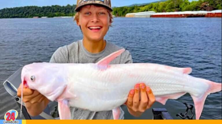 ¡Increíble! Joven logró pescar un bagre azul con albinismo