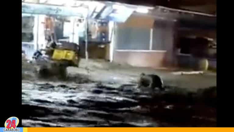 Se desborda quebrada vía a Capacho tras fuertes lluvias (+VIDEO)