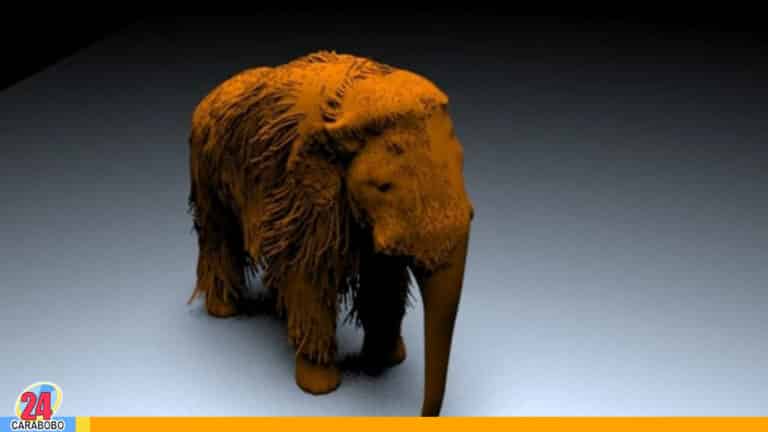 ¡Histórico! Encuentran un bebé mamut congelado hace 30 mil años