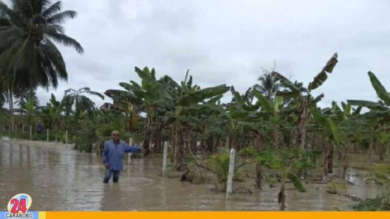 Fedeagro: las lluvias afectaron algunas regiones de cultivo