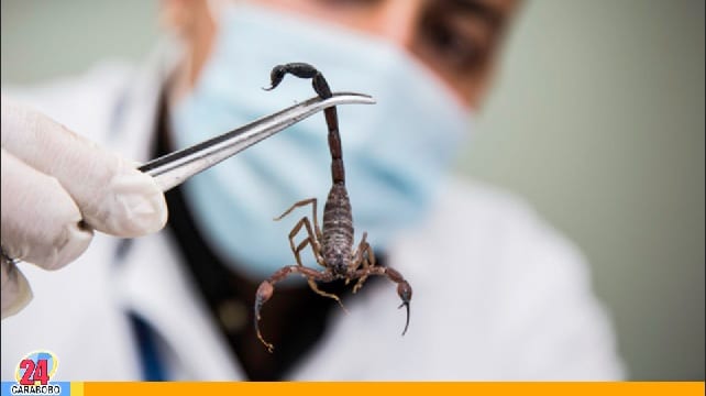 Antivenenos contra escorpiones - Antivenenos contra escorpiones