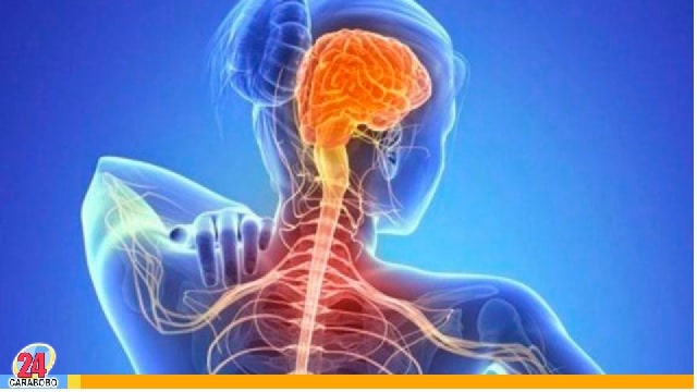 ¿Qué es la esclerosis lateral amiotrófica?