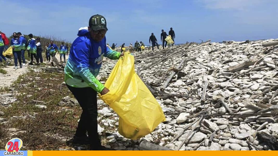 toneladas de desechos recolectadas en costas carabobeñas