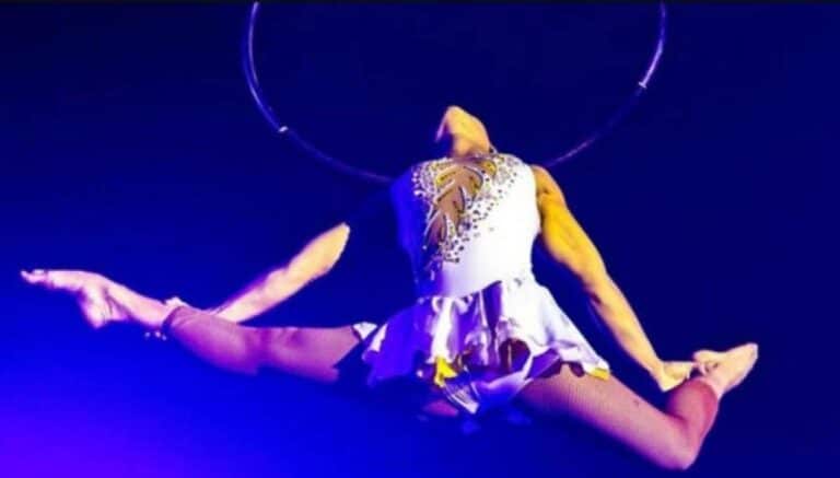 Trapecista cae desde lo alto en pleno show de circo (+VIDEO)