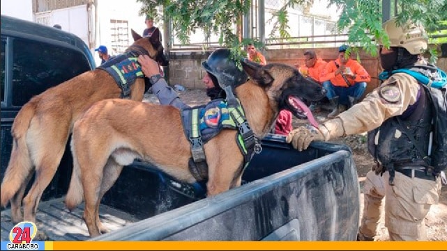 Perros rescatistas, en Venezuela - Perros rescatistas, en Venezuela