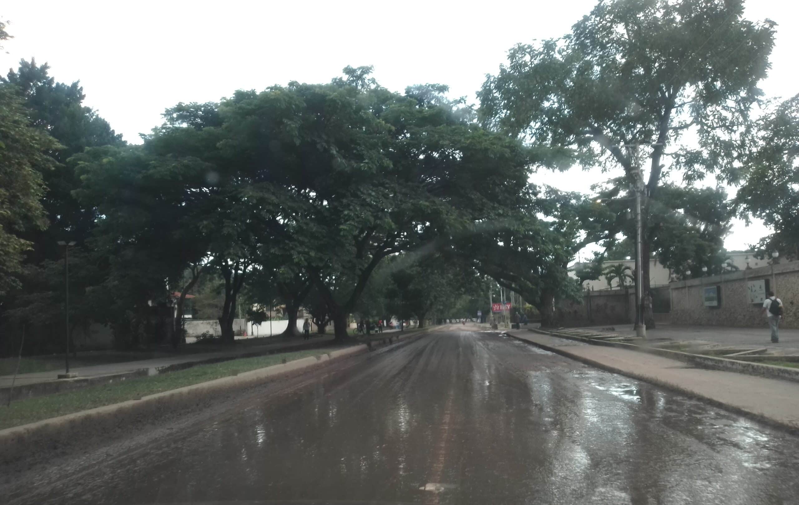 Avenida Principal de Las Delicias - Avenida Principal de Las Delicias