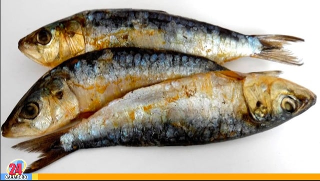 Las sardinas en lata - Las sardinas en lata