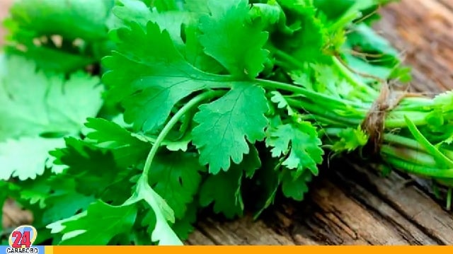 Las propiedades del cilantro - Las propiedades del cilantro