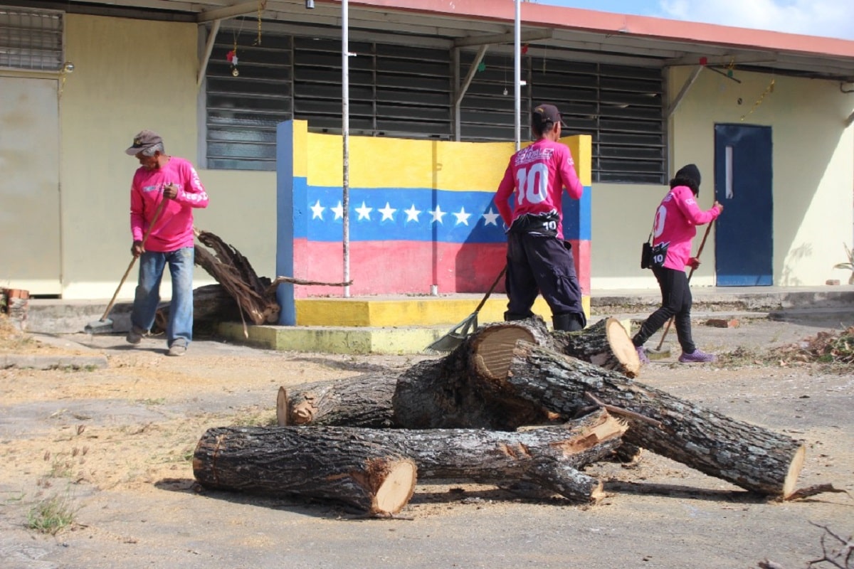 árbol afectaría Escuela Nacional Bárbula