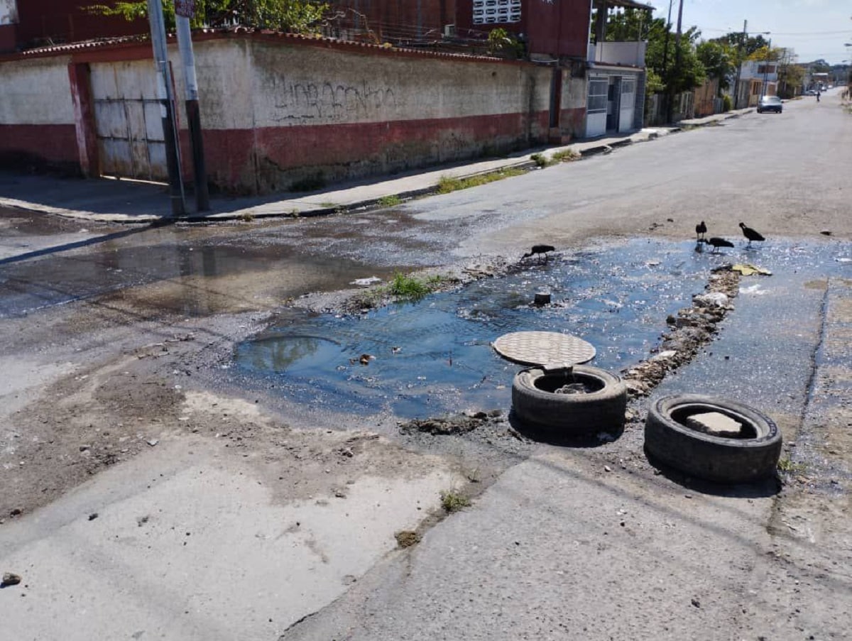 bote de aguas negras en Caprenco