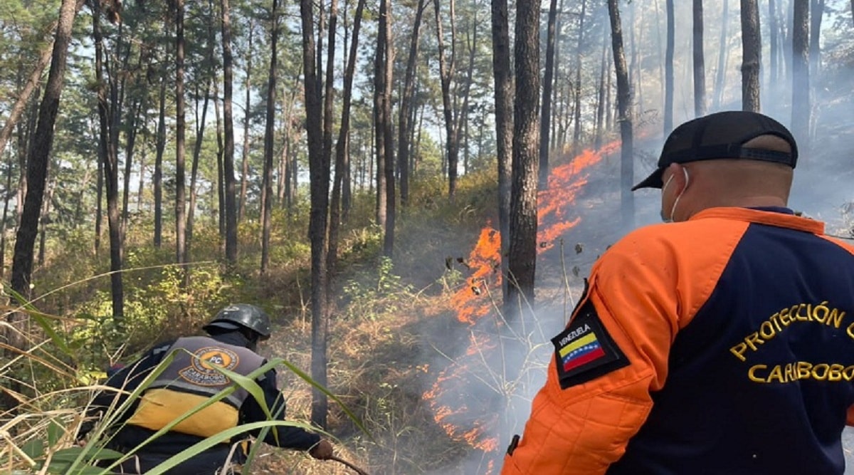 incendios forestales imprudencia humana