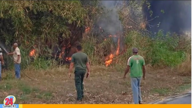 Incendio de vegetación en Naguanagua - Incendio de vegetación en Naguanagua