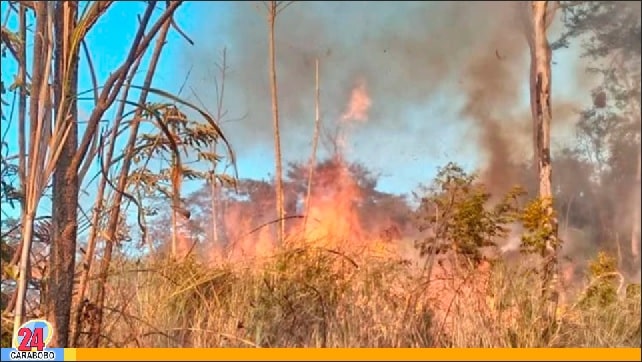Incendio forestal en el municipio Miranda - Incendio forestal en el municipio Miranda