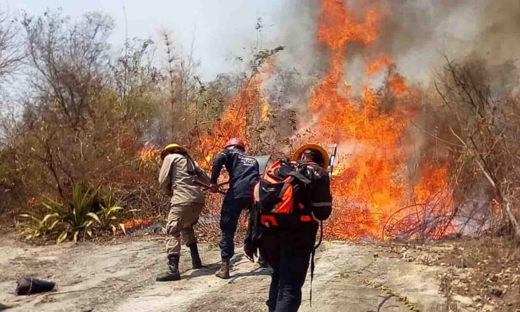 incendios forestales Venezuela
