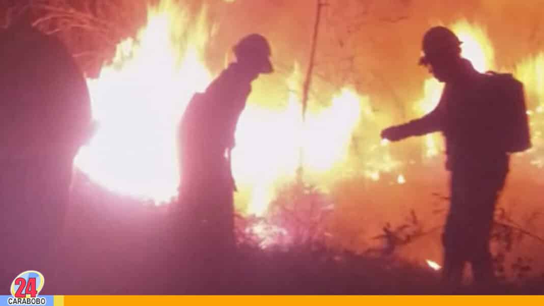 incendio forestal en Naguanagua