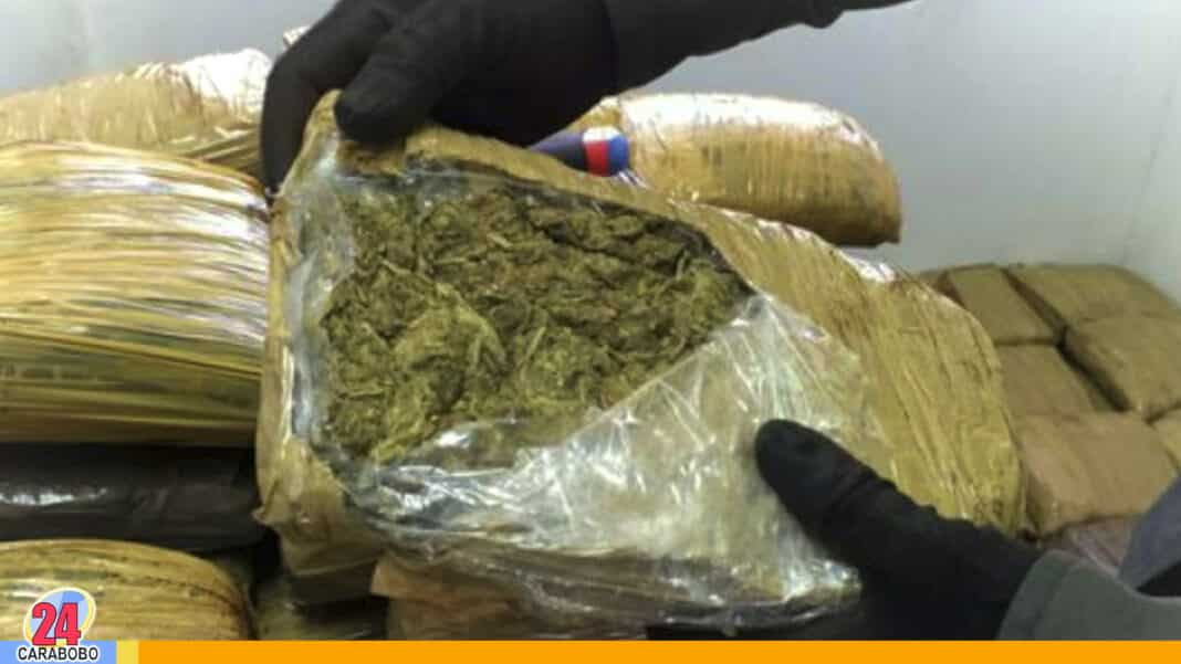 PNB incautó kilos marihuana