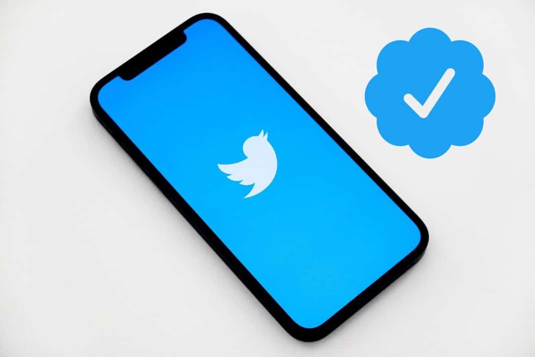 Twitter Blue proceso de verificación