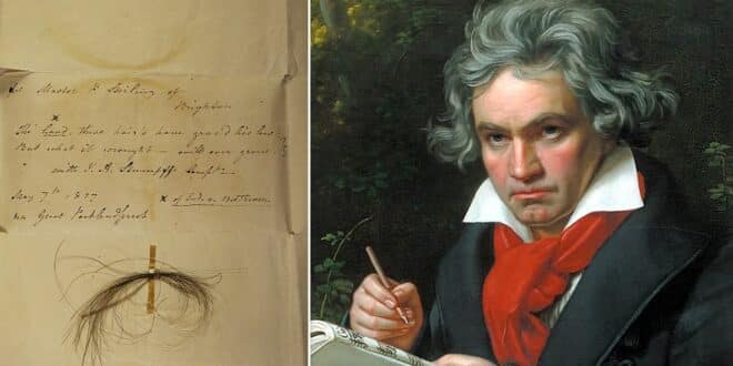 Beethoven ADN cabello