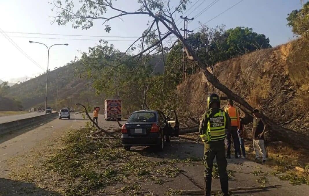 vehículo impactó árbol Variante Yagua