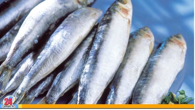Las sardinas – las sardinas